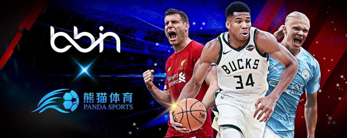 中国组合的